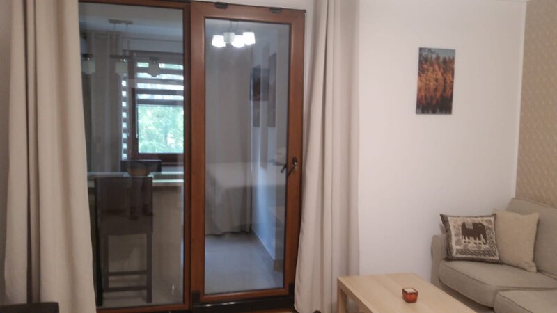 Drumul Taberei - Brasov- Plaza Inchiriere - garsoniera - 3/10 - mobilat